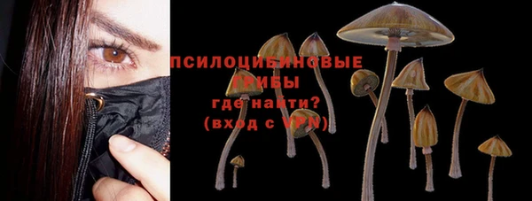 мескалин Арсеньев