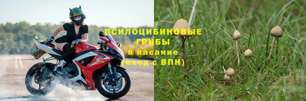 мескалин Арсеньев
